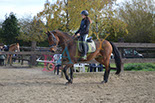 Badyhoeve is een terrein dat tot 3kinderen en hun pony's met de hond Djackson behoort.