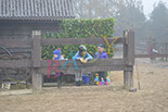 Badyhoeve is een terrein dat tot 3kinderen en hun pony's met de hond Djackson behoort.