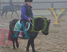 Badyhoeve is een terrein dat tot 3kinderen en hun pony's met de hond Djackson behoort.