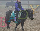 Badyhoeve is een terrein dat tot 3kinderen en hun pony's met de hond Djackson behoort.