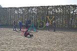 Badyhoeve is een terrein dat tot 3kinderen en hun pony's met de hond Djackson behoort.