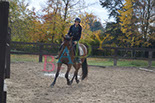 Badyhoeve is een terrein dat tot 3kinderen en hun pony's met de hond Djackson behoort.