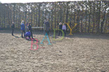 Badyhoeve is een terrein dat tot 3kinderen en hun pony's met de hond Djackson behoort.