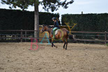 Badyhoeve is een terrein dat tot 3kinderen en hun pony's met de hond Djackson behoort.