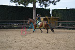 Badyhoeve is een terrein dat tot 3kinderen en hun pony's met de hond Djackson behoort.