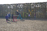 Badyhoeve is een terrein dat tot 3kinderen en hun pony's met de hond Djackson behoort.