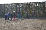 Badyhoeve is een terrein dat tot 3kinderen en hun pony's met de hond Djackson behoort.