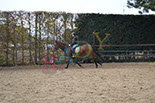 Badyhoeve is een terrein dat tot 3kinderen en hun pony's met de hond Djackson behoort.