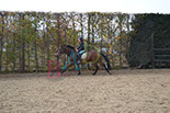 Badyhoeve is een terrein dat tot 3kinderen en hun pony's met de hond Djackson behoort.