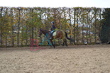 Badyhoeve is een terrein dat tot 3kinderen en hun pony's met de hond Djackson behoort.