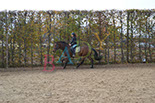 Badyhoeve is een terrein dat tot 3kinderen en hun pony's met de hond Djackson behoort.