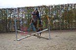 Badyhoeve is een terrein dat tot 3kinderen en hun pony's met de hond Djackson behoort.