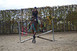 Badyhoeve is een terrein dat tot 3kinderen en hun pony's met de hond Djackson behoort.