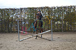 Badyhoeve is een terrein dat tot 3kinderen en hun pony's met de hond Djackson behoort.