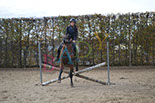Badyhoeve is een terrein dat tot 3kinderen en hun pony's met de hond Djackson behoort.