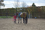 Badyhoeve is een terrein dat tot 3kinderen en hun pony's met de hond Djackson behoort.