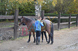 Badyhoeve is een terrein dat tot 3kinderen en hun pony's met de hond Djackson behoort.