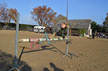 Badyhoeve is een terrein dat tot 3kinderen en hun pony's met de hond Djackson behoort.