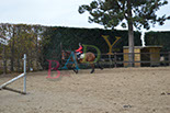 Badyhoeve is een terrein dat tot 3kinderen en hun pony's met de hond Djackson behoort.