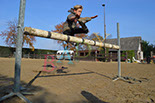 Badyhoeve is een terrein dat tot 3kinderen en hun pony's met de hond Djackson behoort.