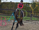 Badyhoeve is een terrein dat tot 3kinderen en hun pony's met de hond Djackson behoort.