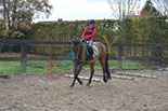 Badyhoeve is een terrein dat tot 3kinderen en hun pony's met de hond Djackson behoort.