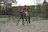 Badyhoeve is een terrein dat tot 3kinderen en hun pony's met de hond Djackson behoort.