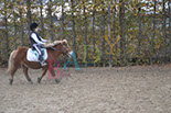 Badyhoeve is een terrein dat tot 3kinderen en hun pony's met de hond Djackson behoort.