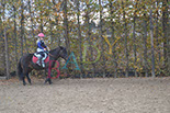 Badyhoeve is een terrein dat tot 3kinderen en hun pony's met de hond Djackson behoort.