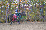 Badyhoeve is een terrein dat tot 3kinderen en hun pony's met de hond Djackson behoort.