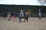 Badyhoeve is een terrein dat tot 3kinderen en hun pony's met de hond Djackson behoort.