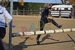 Badyhoeve is een terrein dat tot 3kinderen en hun pony's met de hond Djackson behoort.