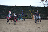 Badyhoeve is een terrein dat tot 3kinderen en hun pony's met de hond Djackson behoort.