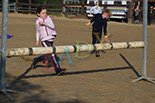 Badyhoeve is een terrein dat tot 3kinderen en hun pony's met de hond Djackson behoort.