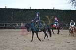 Badyhoeve is een terrein dat tot 3kinderen en hun pony's met de hond Djackson behoort.