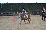 Badyhoeve is een terrein dat tot 3kinderen en hun pony's met de hond Djackson behoort.