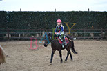 Badyhoeve is een terrein dat tot 3kinderen en hun pony's met de hond Djackson behoort.
