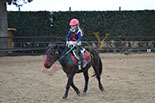 Badyhoeve is een terrein dat tot 3kinderen en hun pony's met de hond Djackson behoort.