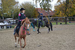 Badyhoeve is een terrein dat tot 3kinderen en hun pony's met de hond Djackson behoort.