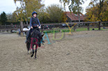 Badyhoeve is een terrein dat tot 3kinderen en hun pony's met de hond Djackson behoort.