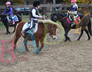 Badyhoeve is een terrein dat tot 3kinderen en hun pony's met de hond Djackson behoort.
