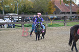 Badyhoeve is een terrein dat tot 3kinderen en hun pony's met de hond Djackson behoort.