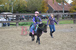 Badyhoeve is een terrein dat tot 3kinderen en hun pony's met de hond Djackson behoort.