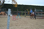Badyhoeve is een terrein dat tot 3kinderen en hun pony's met de hond Djackson behoort.