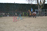 Badyhoeve is een terrein dat tot 3kinderen en hun pony's met de hond Djackson behoort.
