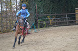 Badyhoeve is een terrein dat tot 3kinderen en hun pony's met de hond Djackson behoort.