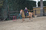 Badyhoeve is een terrein dat tot 3kinderen en hun pony's met de hond Djackson behoort.