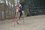 Badyhoeve is een terrein dat tot 3kinderen en hun pony's met de hond Djackson behoort.