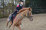 Badyhoeve is een terrein dat tot 3kinderen en hun pony's met de hond Djackson behoort.