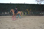 Badyhoeve is een terrein dat tot 3kinderen en hun pony's met de hond Djackson behoort.